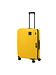 Samsonite citrus Samsonite citrus