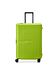 Delsey Paris lime