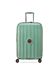Delsey Paris sage green Delsey Paris sage green