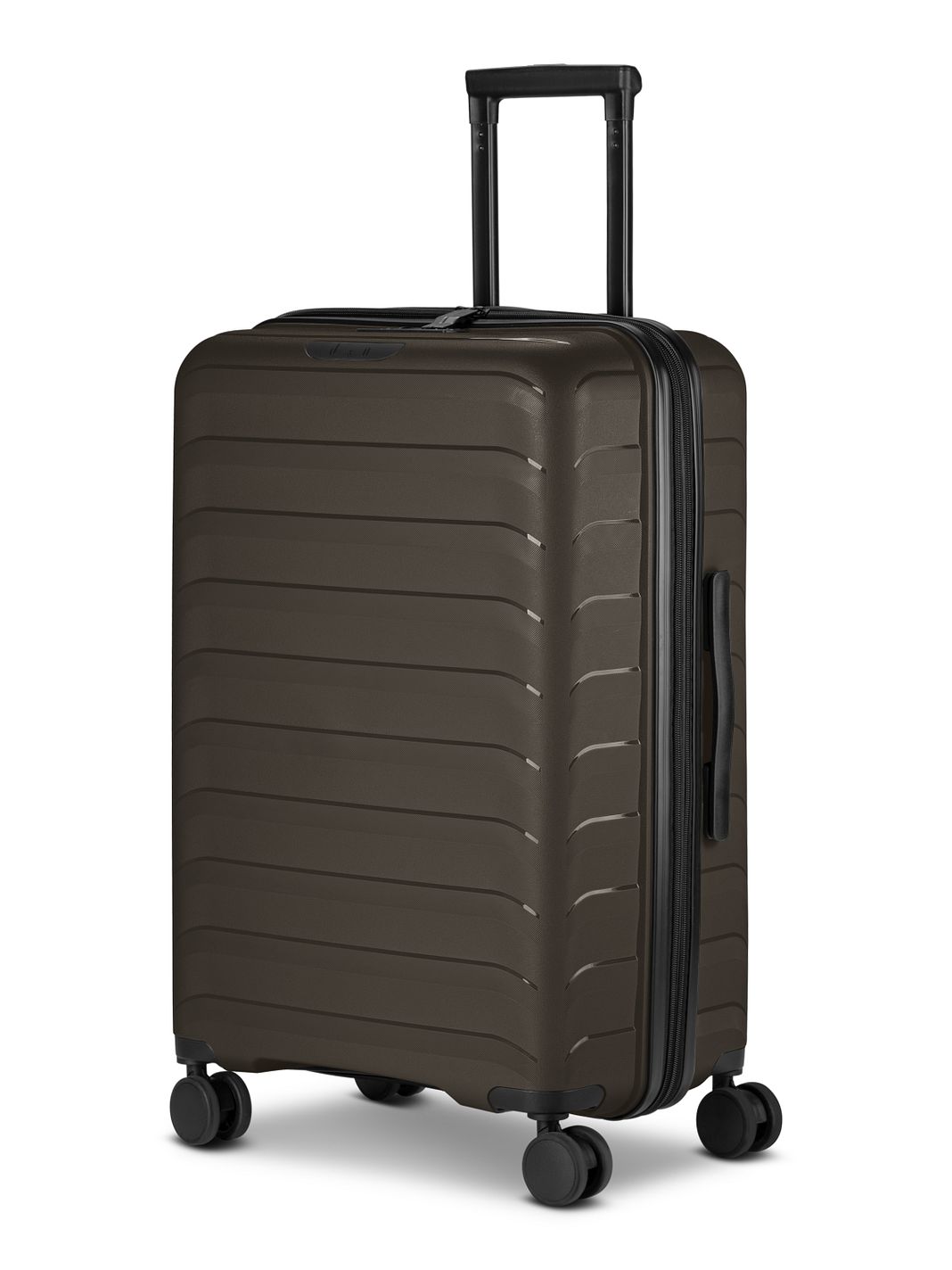 d & n Toronto 4 ruedas Trolley M 65 cm Con asa expansible