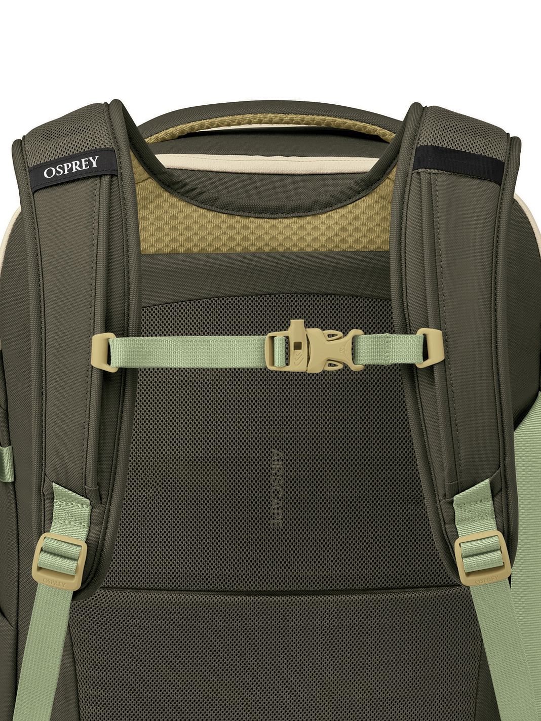 Osprey Daylite 35 L rejserygsæk med 49 cm laptop-rum