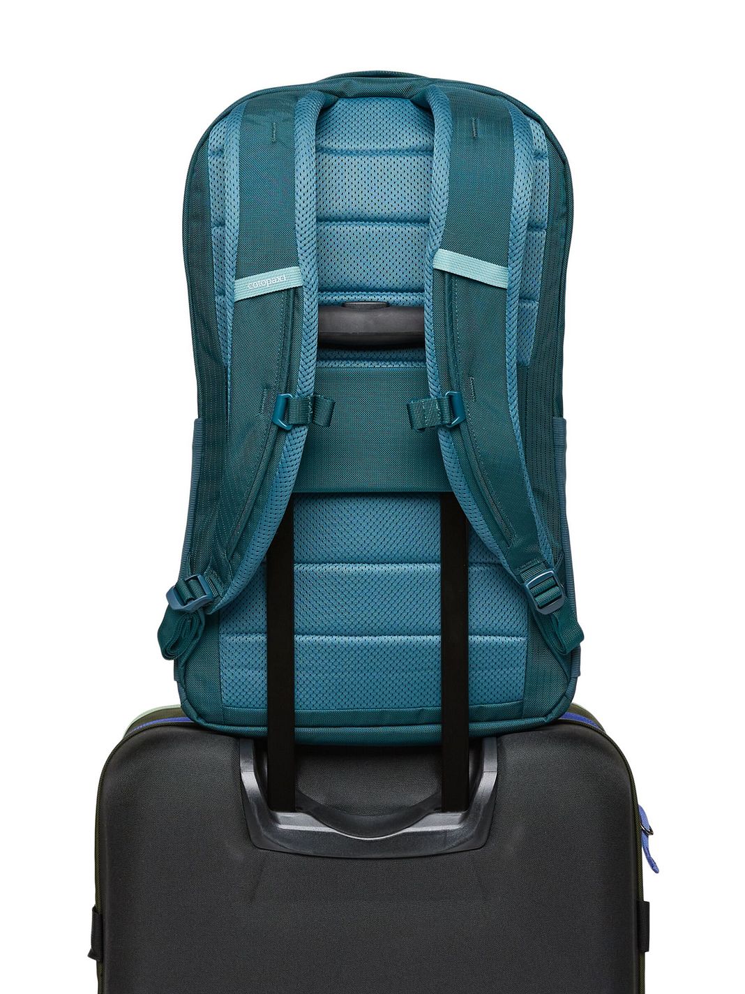 Cotopaxi Allpa Zaino da giorno 52 cm Vano porta PC Cotopaxi Allpa Zaino da giorno 52 cm Vano porta PC