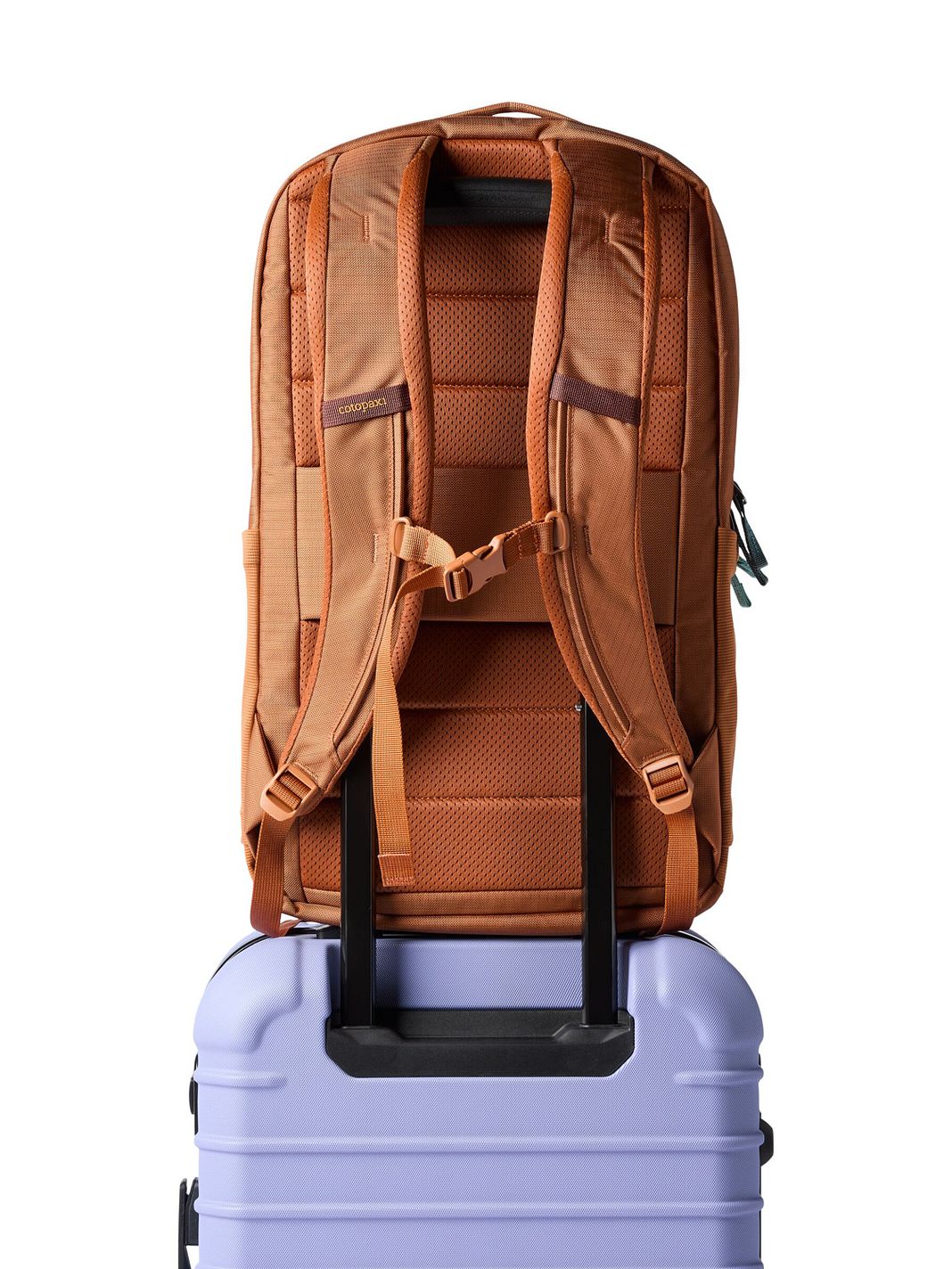 Cotopaxi Allpa Zaino da giorno 52 cm Vano porta PC Cotopaxi Allpa Zaino da giorno 52 cm Vano porta PC