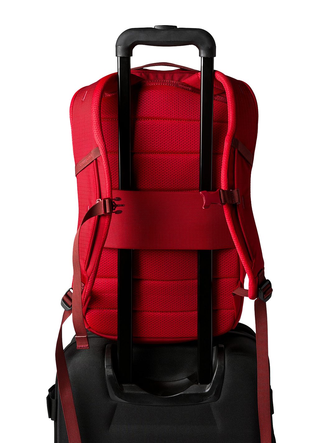 Cotopaxi Allpa 18 L Denní batoh 43 cm Kapsa na notebook Cotopaxi Allpa 18 L Denní batoh 43 cm Kapsa na notebook