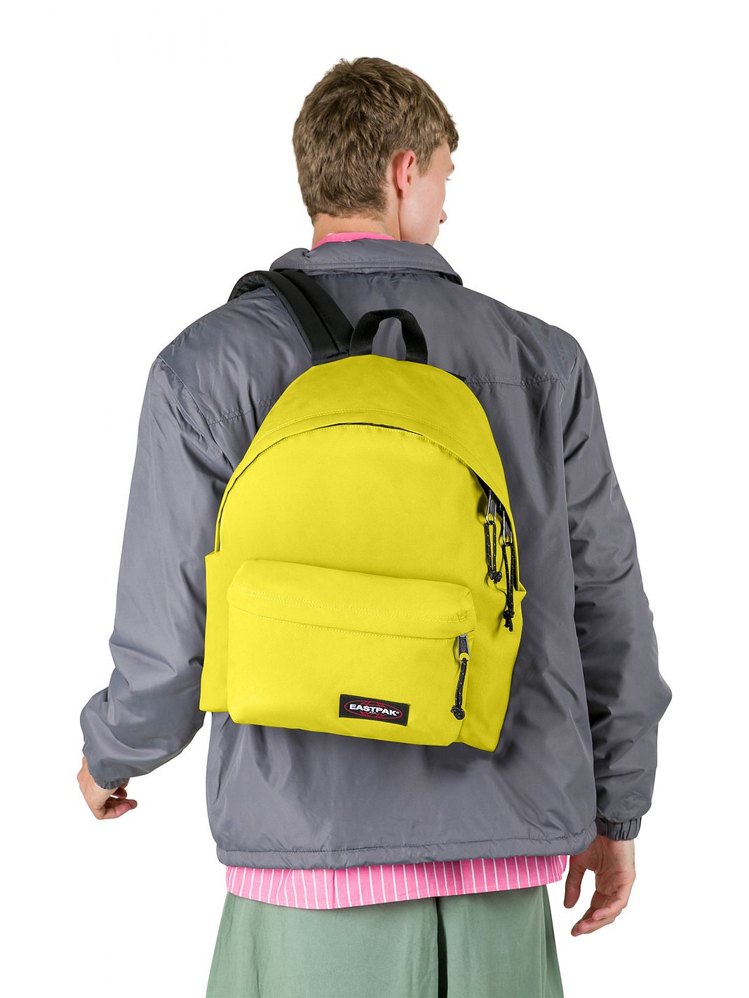 Eastpak Padded Pak'r Denní batoh 40 cm Eastpak Padded Pak'r Denní batoh 40 cm