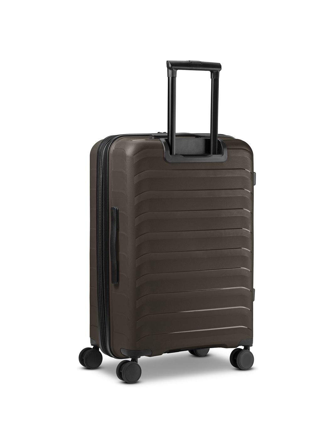 d & n Toronto 4 ruedas Trolley M 65 cm Con asa expansible