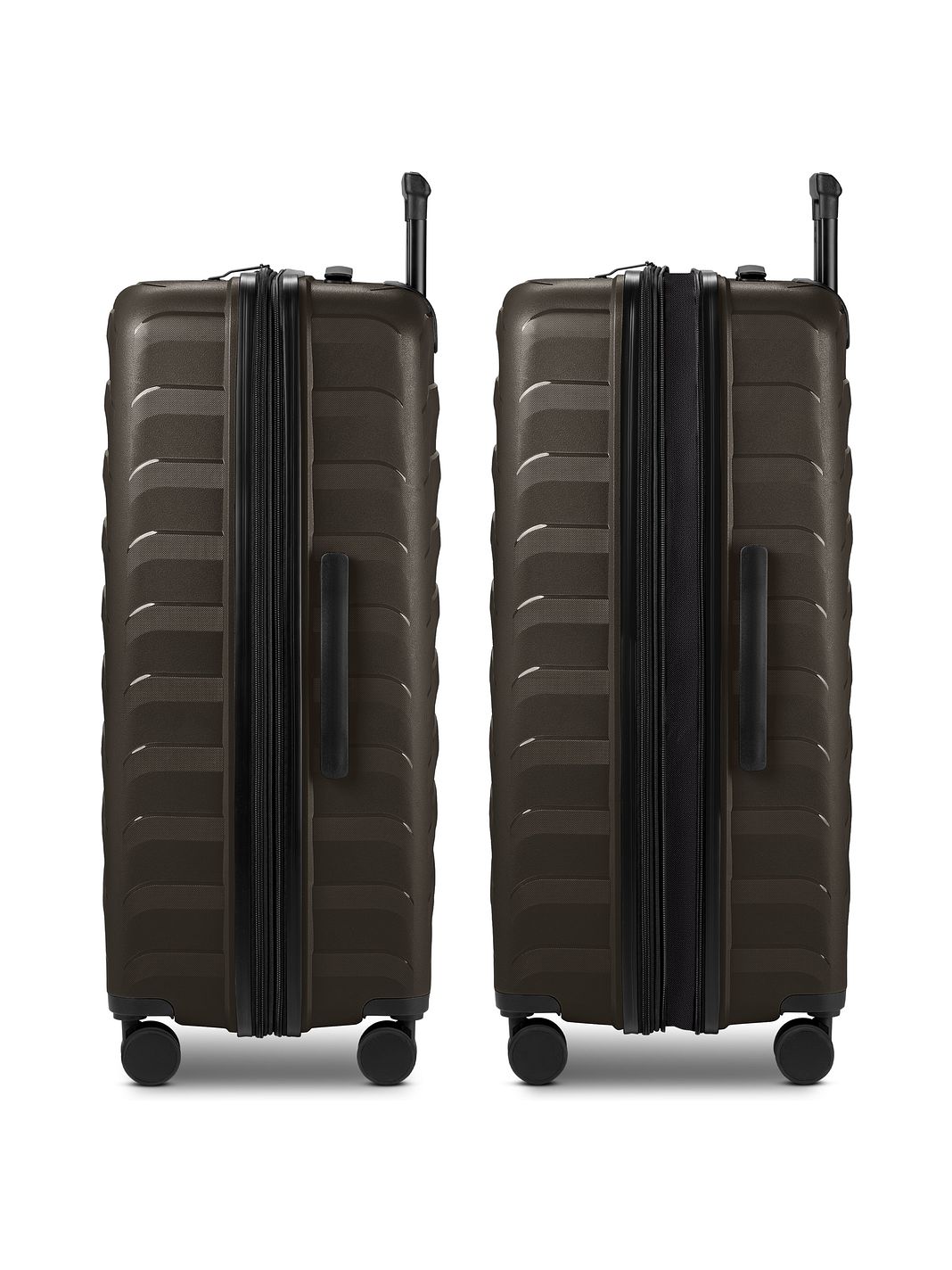d & n Toronto 4 ruedas Trolley L 75 cm Con asa expansible