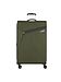 Samsonite climbing ivy Samsonite climbing ivy