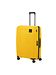 Samsonite citrus