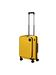 Samsonite citrus