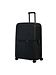 Samsonite graphite