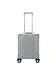 Aleon platinum