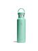 Hydro Flask mermaid green Hydro Flask mermaid green