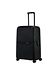 Samsonite graphite