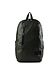 Eastpak tarp forest