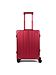 Aleon ruby 1