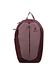 Deuter ashrose-cassis
