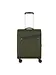 Samsonite climbing ivy Samsonite climbing ivy