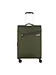 Samsonite climbing ivy Samsonite climbing ivy