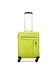 Roncato lime
