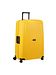 Samsonite citrus