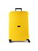 Samsonite citrus