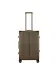 Aleon bronze