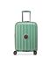 Delsey Paris sage green