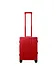 Aleon ruby 1
