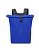 Delsey Paris electric blue Delsey Paris electric blue