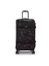 Kipling night flower Kipling night flower