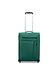 Roncato green