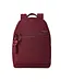 Hedgren maroon banner Hedgren maroon banner