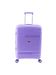 Gladiator lavender