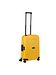 Samsonite citrus