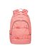 McNeill pink