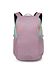 Osprey iris pink Osprey iris pink