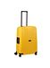 Samsonite citrus