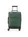 Delsey Paris gruen Delsey Paris gruen