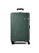 American Tourister dark olive