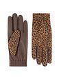 Roeckl Serengeti Guantes Piel natural - beige Roeckl Serengeti Guantes Piel natural