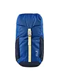 Jack Wolfskin Kids Explorer Turistický batoh 42 cm - blue orchid Jack Wolfskin Kids Explorer Turistický batoh 42 cm
