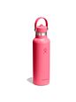 Hydro Flask Hydration Standard Flex Straw Cap Láhev na pití 620 ml