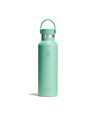 Hydro Flask Hydration Standard Flex Cap drikkeflaske 621 ml