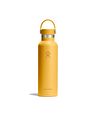 Hydro Flask Hydration Standard Flex Cap drikkeflaske 621 ml