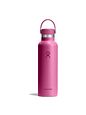 Hydro Flask Hydration Standard Flex Cap drikkeflaske 621 ml