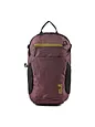 Jack Wolfskin Velocity Mochila bicicleta 45 cm - sheer plum Jack Wolfskin Velocity Mochila bicicleta 45 cm