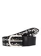 Vanzetti Kožený pásek s cvočky