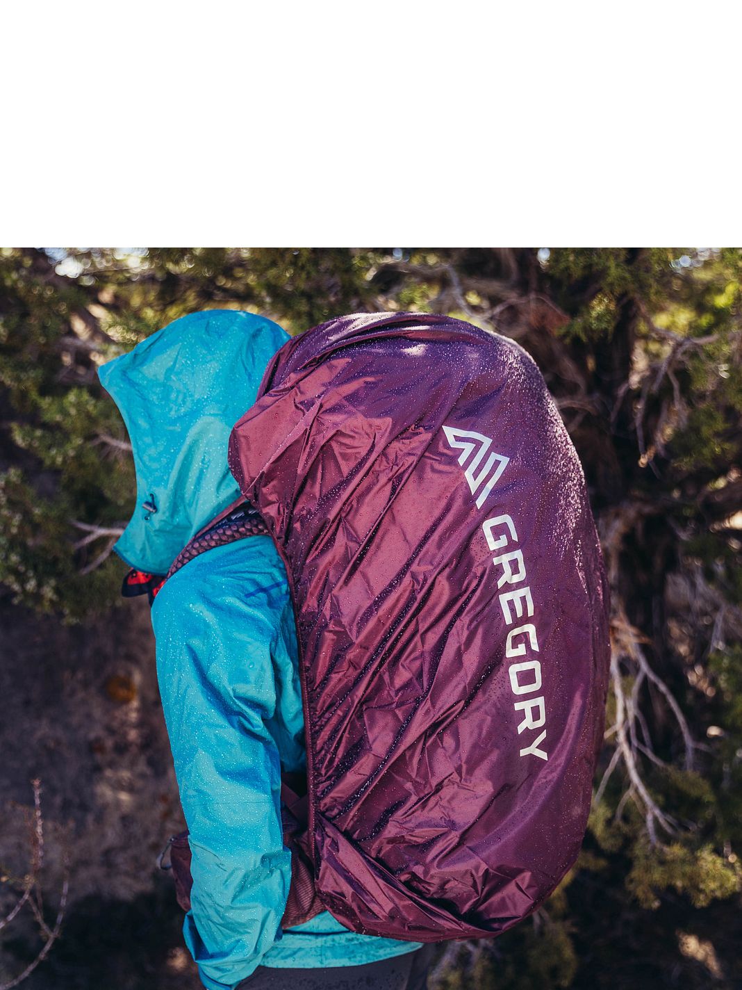 Gregory Deva Pro 80 Zaino da trekking M 82 cm Gregory Deva Pro 80 Zaino da trekking M 82 cm