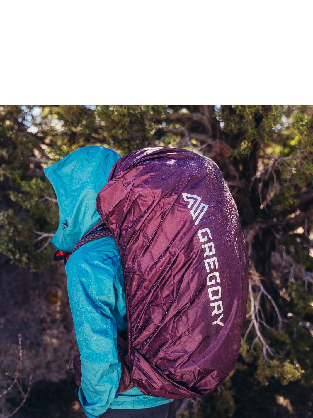Gregory Deva Pro 80 Zaino da trekking XS 77 cm Gregory Deva Pro 80 Zaino da trekking XS 77 cm
